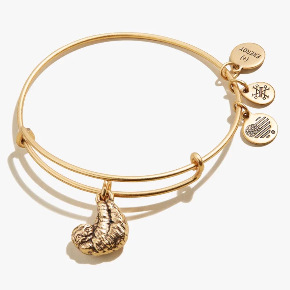 Alex and Ani Sloth Charm Bangle
